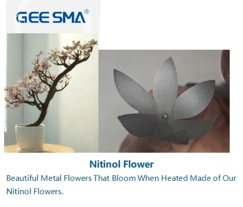 Nitinol Flower